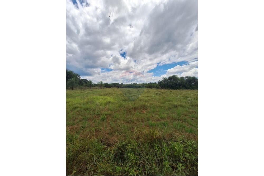 2 Terrenos en San Bernardino – 3