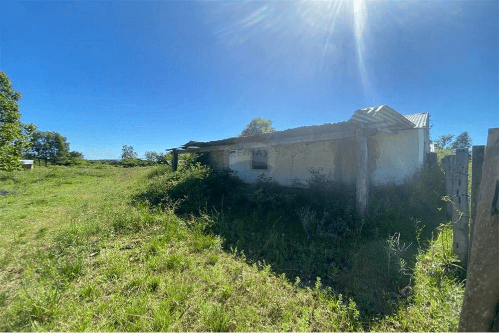 VENDO TERRENO DE 1 HA. MAS 1.050 M2. – 3