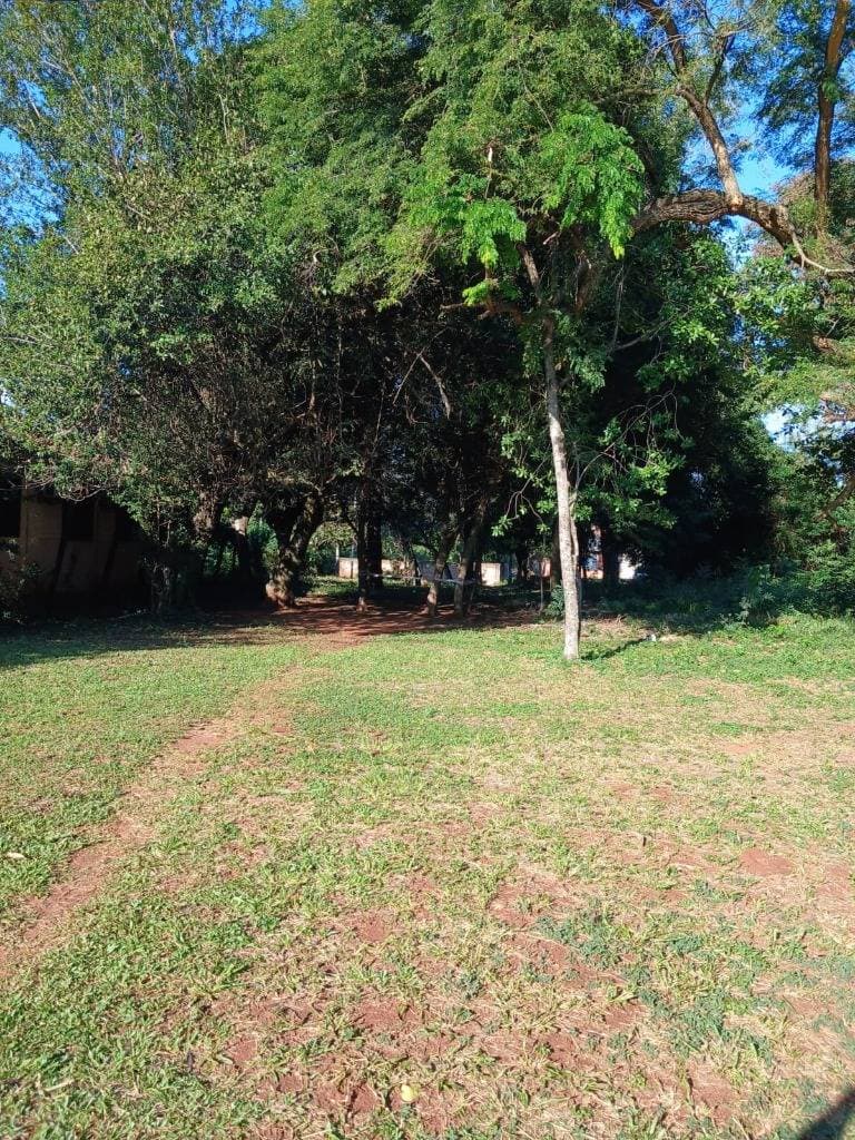 VENDO TERRENO LAURELTY - EN SAN LORENZO – 3