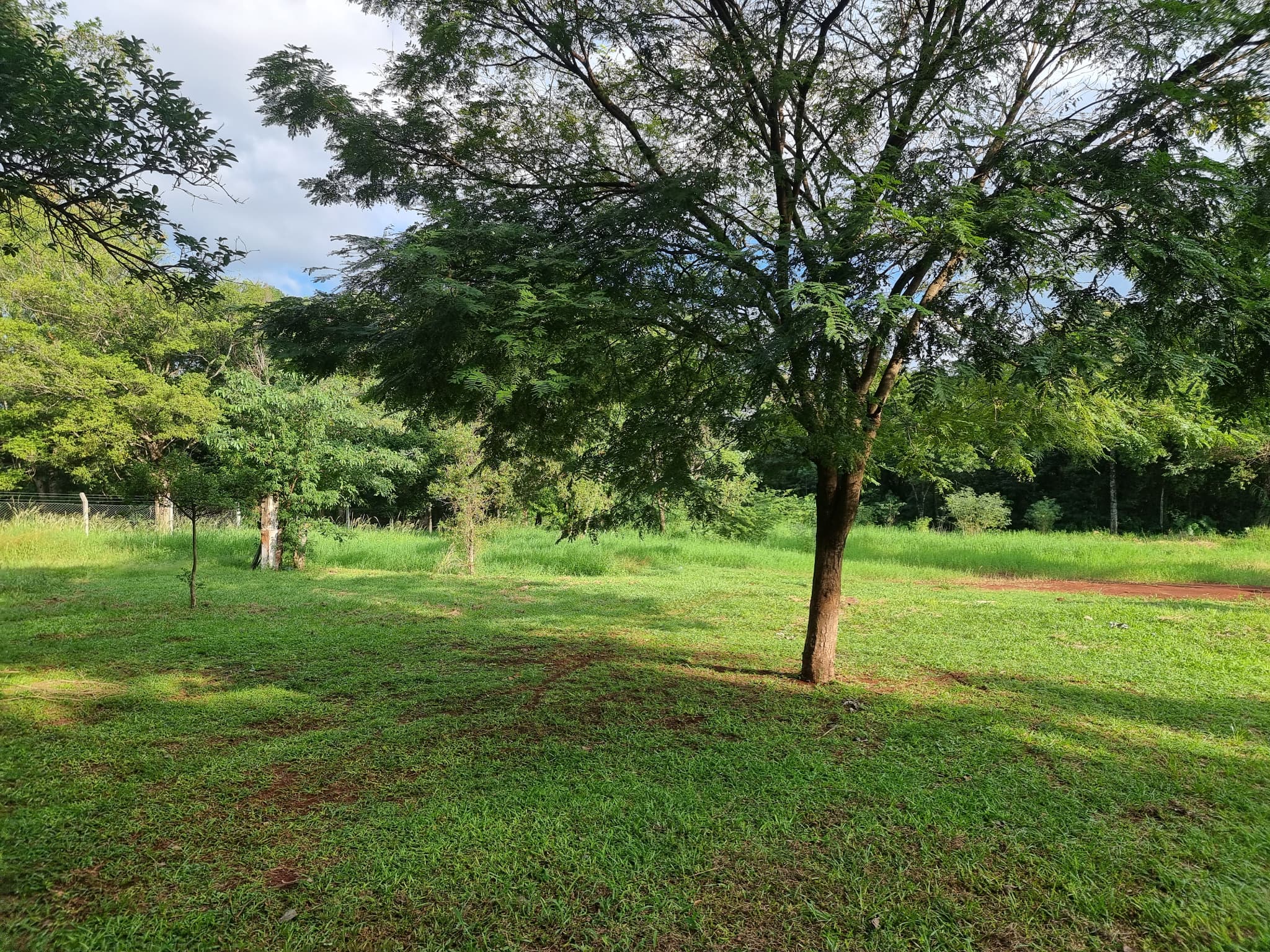 .VENDO 4.336M2 A 1 CUADRA DE LA AVDA BENITEZ GAMARRA, BARRIO SAN ALFREDO!! – 2