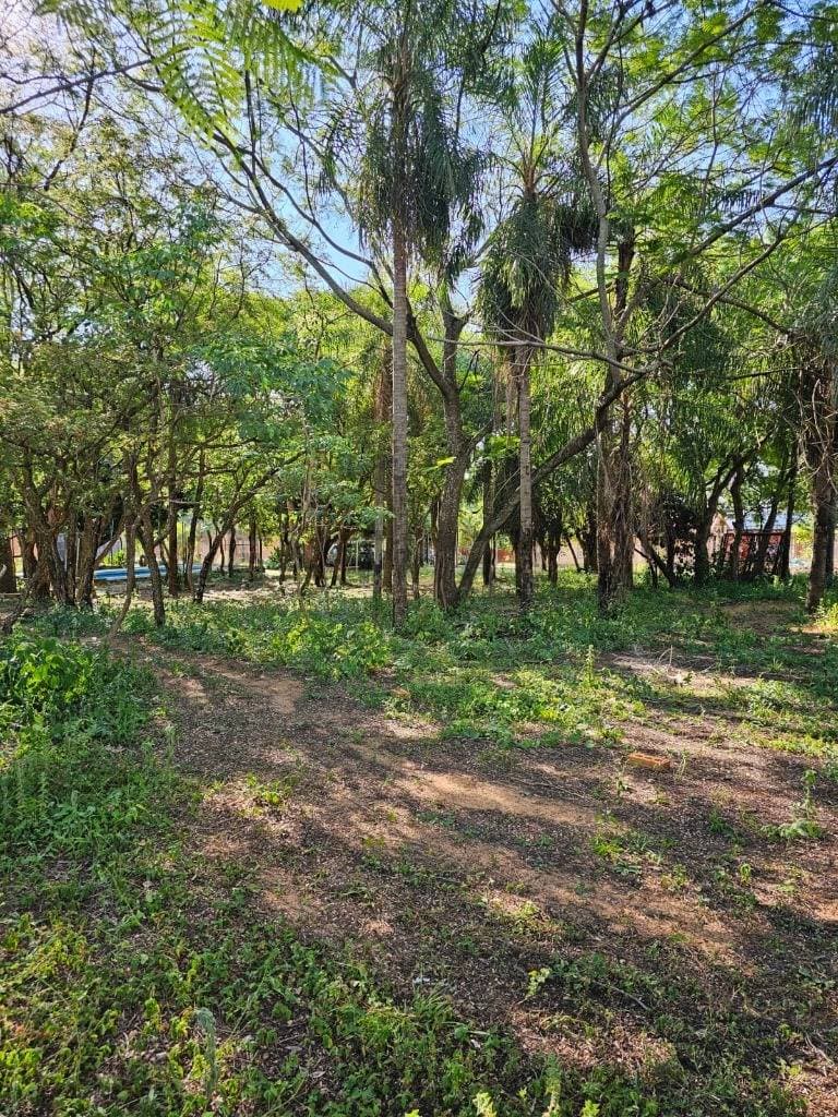 SAN BERNARDINO EN VENTA TERRENO ARBOLADO EN EXCELENTE UBICACIÓN – 2