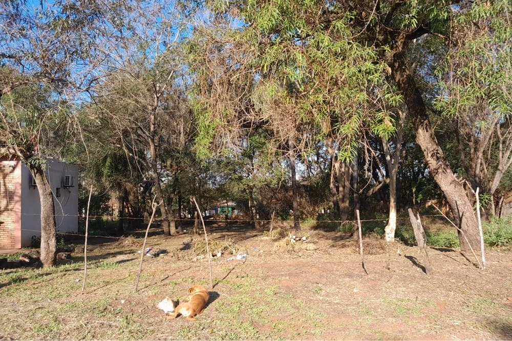Terreno Con Gran Potencial-luque-cañada Garay – 2