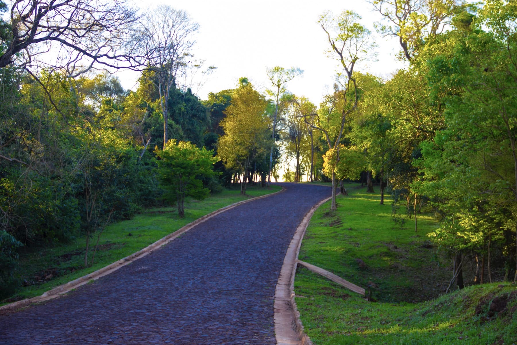 LOTES EN ELPRESTIGIOSO CLUB DE CAMPO AGUAVISTA – 2