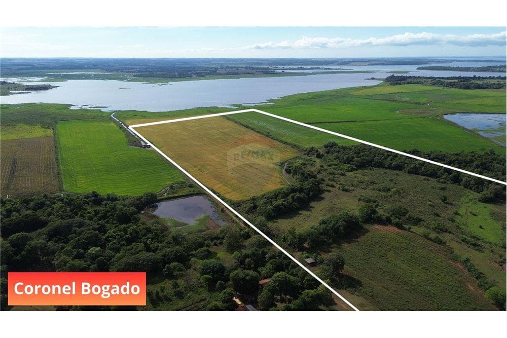 VENDO CAMPO DE 34 HECTAREAS EN CORONEL BOGADO ITAPUA – 2