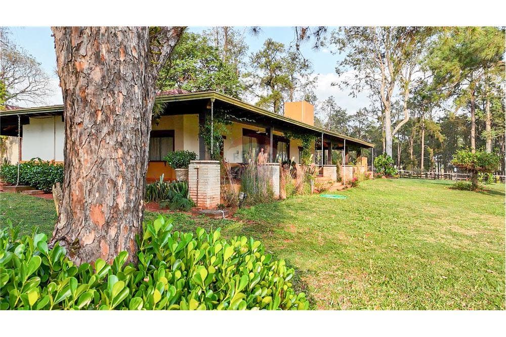 Finca agricola venta Nueva Germania San Pedro Paraguay – 2