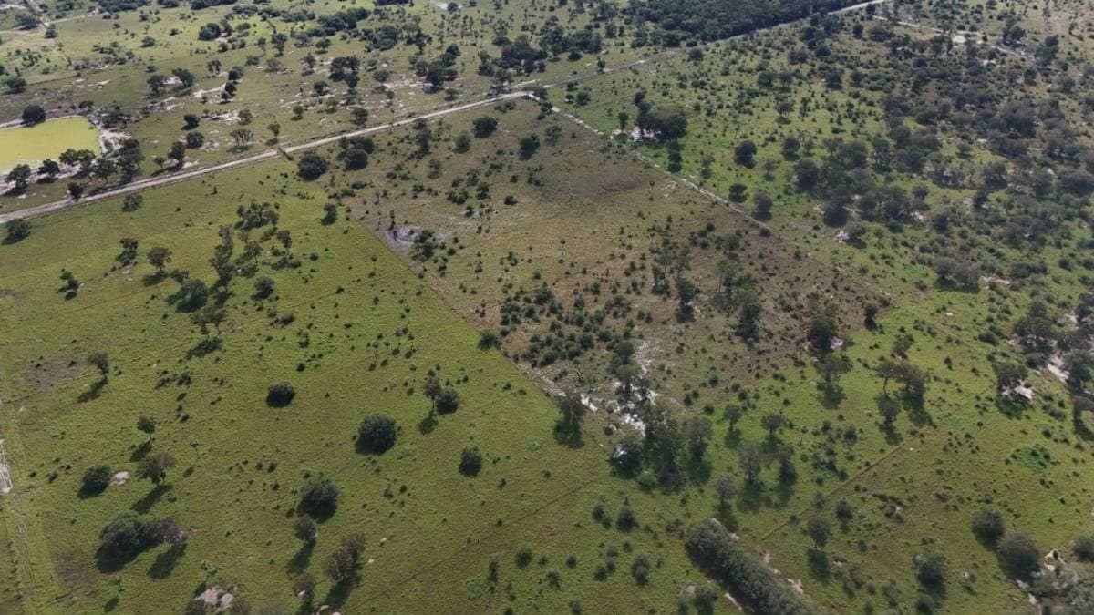 Vendo 87 hectáreas | Nueva Asunción – Chaco'i – 2