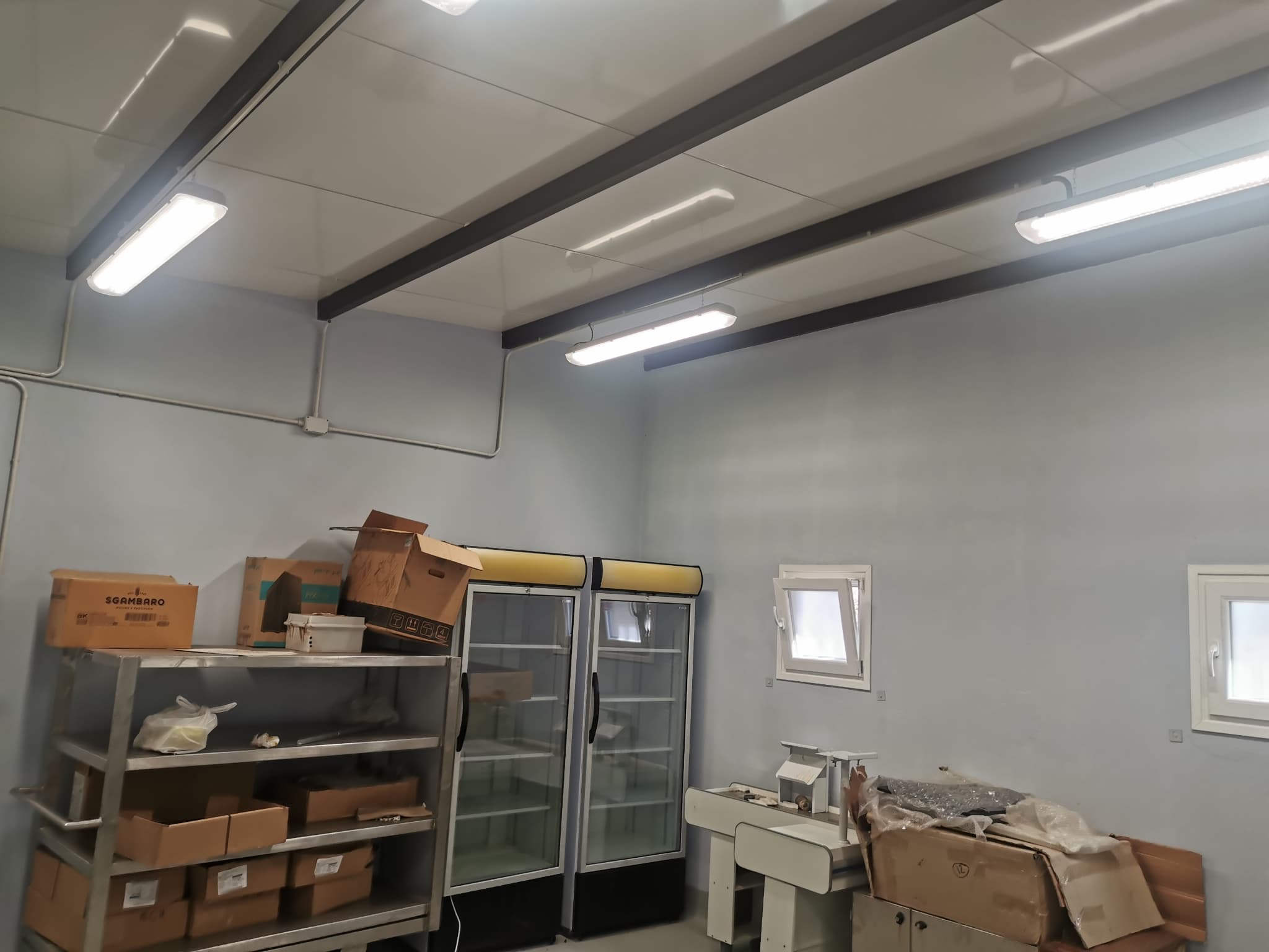 Fábrica Laboratorio Deposito Equipado, para producción de productos alimenticios – 2