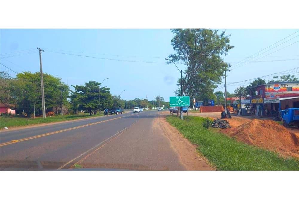 VENDO 9 HA. EN SAN ESTANISLAO – 3