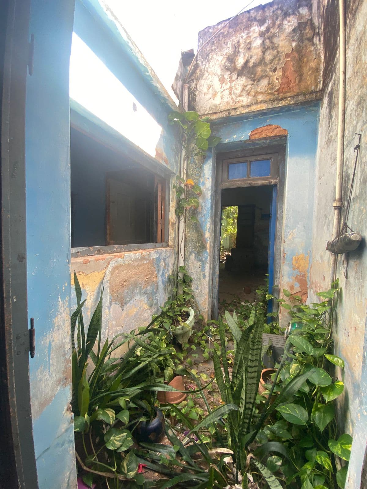 Inmueble en el Micro Centro de Asunción - Oliva e/ Hernandarias y Colón – 2