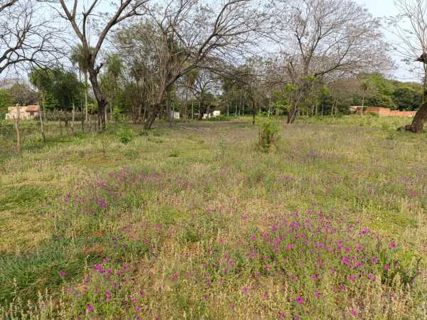 VENDO AMPLIO TERRENO EN AREGUÁ CAACUPEMI – 3