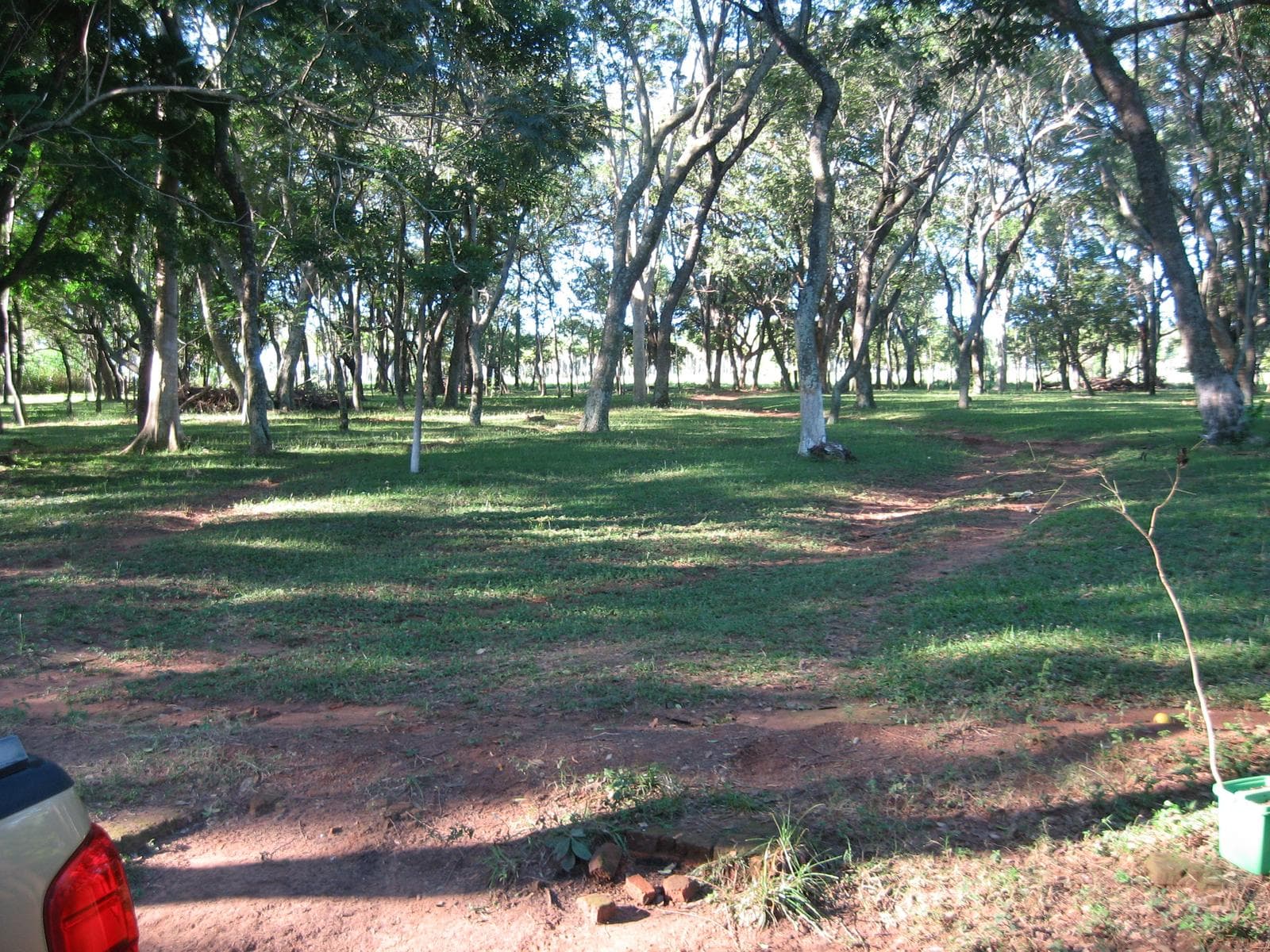 Campo en venta 54,2 ha en Tobatí Cordillera – 2