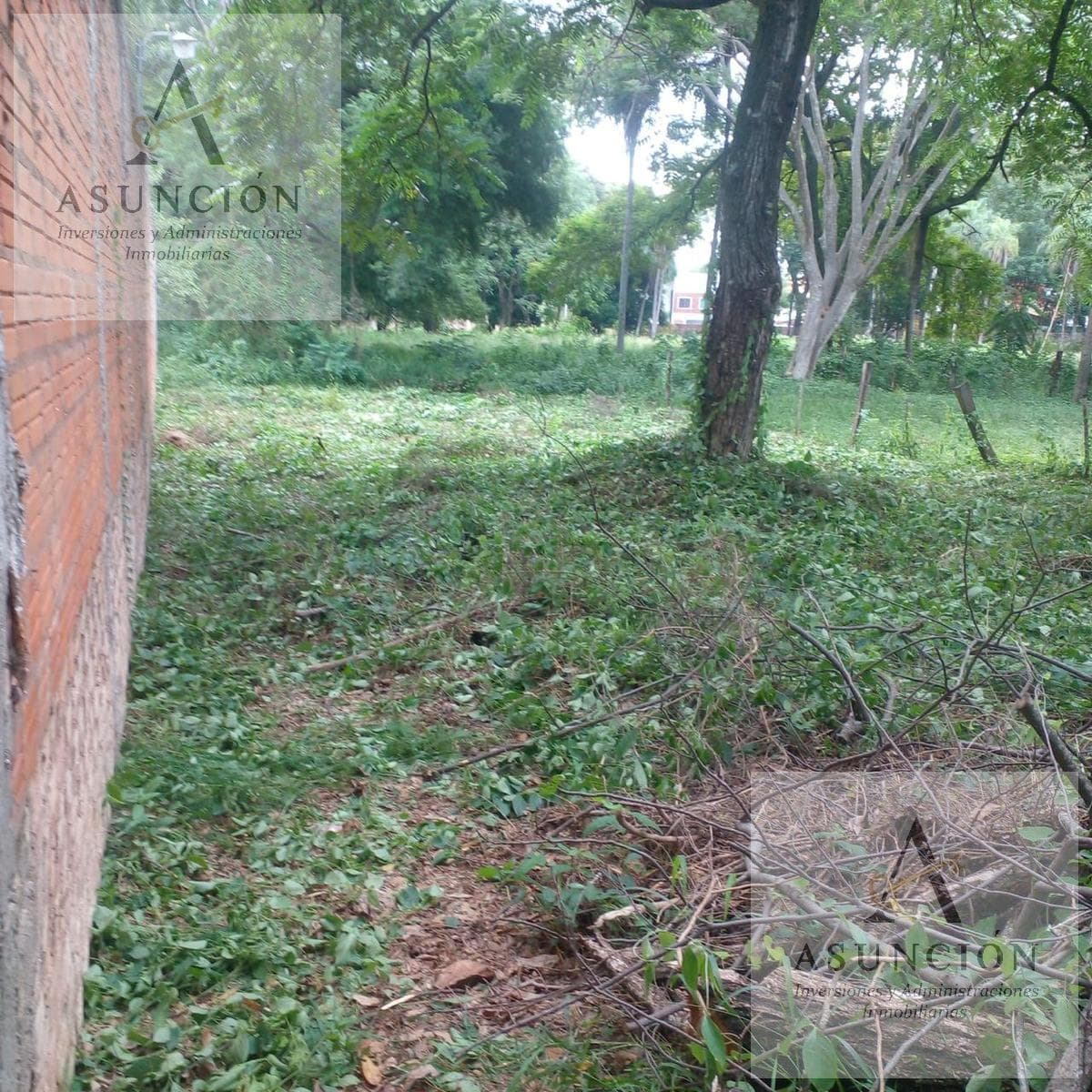 Amplio Terreno en Esquina - Zona Colegio - Lambaré – 2