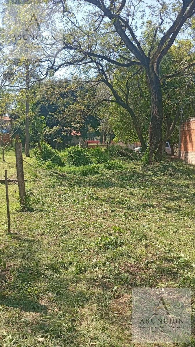 Amplio Terreno en Esquina - Zona Colegio - Lambaré – 3