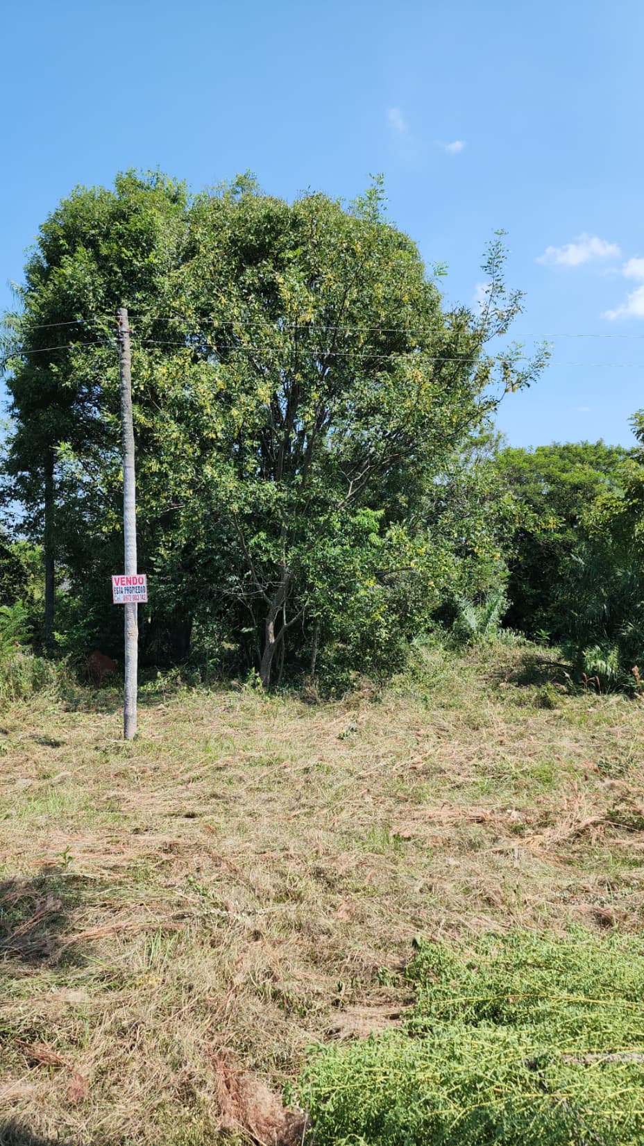 Vendo Terreno En Paraguari, Caacupe Y Limpio – 2
