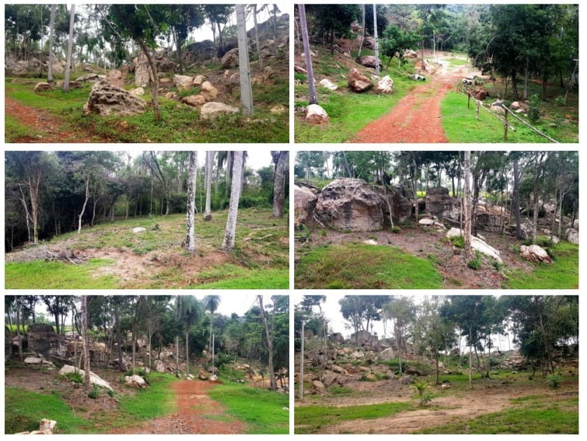 El Chorro Tobateño – 2