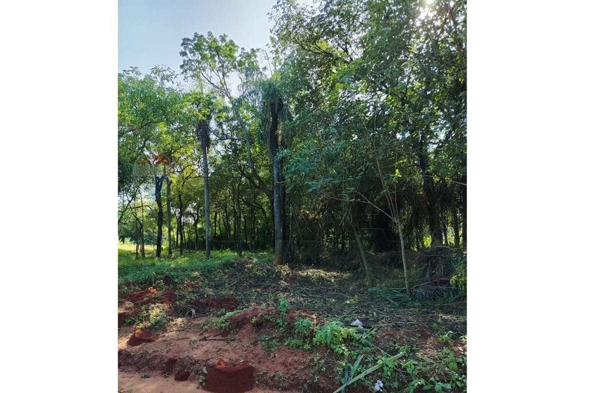 Vendo Terreno de 360 m2 en Zárate Isla, Luque – 3