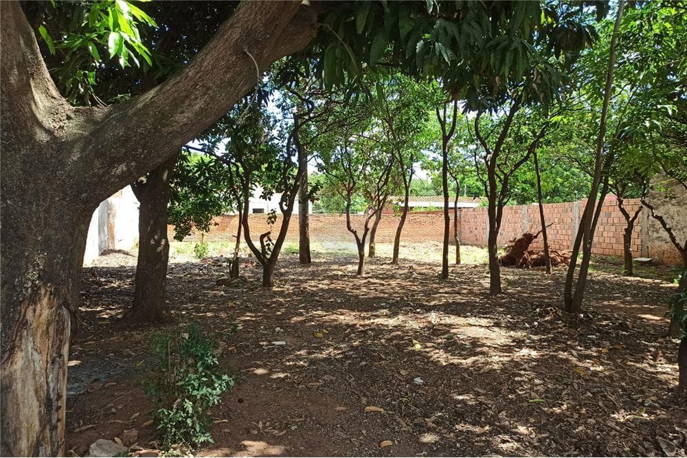 Vendo terreno en San Lorenzo, a metros de Av. la Victoria