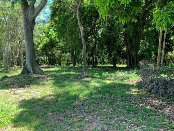 VENDO TERRENO DE 7.500M2 EN SAN BERNARDINO – 2