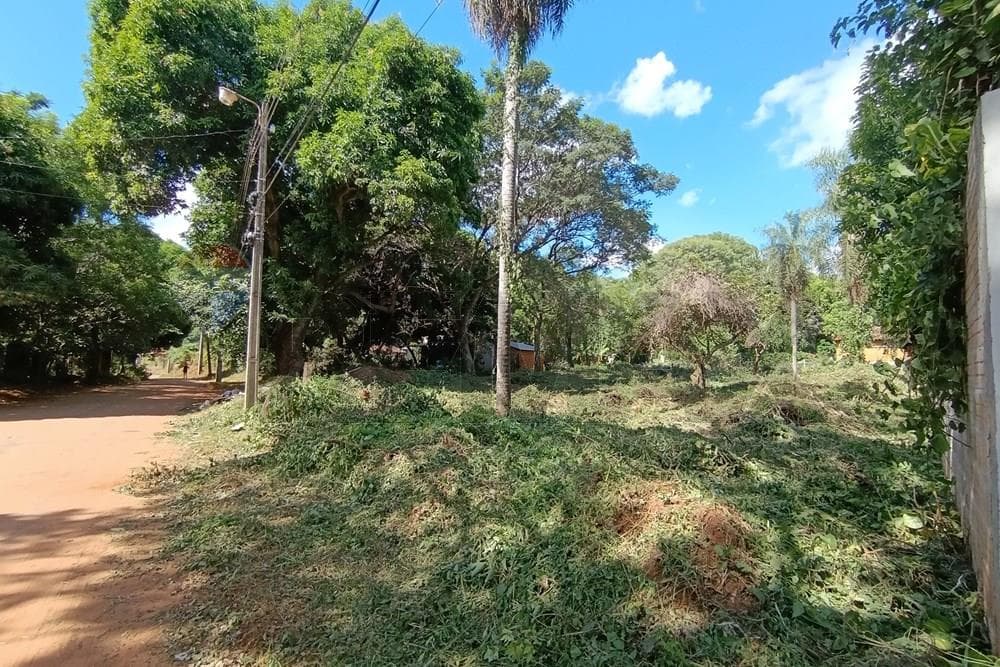 VENDO TERRENO EN ESQUINA SOBRE ASFALTO - CAPIATA – 3