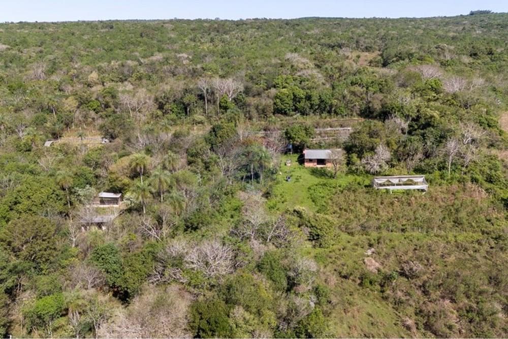 VENDO 43 HECTAREAS EN PIRIBEBUY TERRENO FERTIL