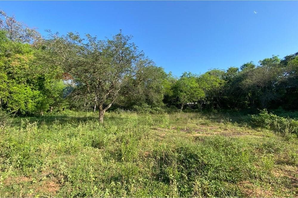 Venta de 4 Terrenos en Quinta Belvedere II Atyrá – 2