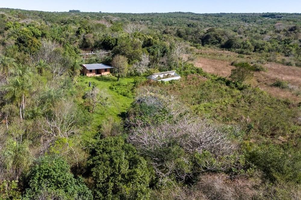 VENDO 43 HECTAREAS EN PIRIBEBUY TERRENO FERTIL – 2