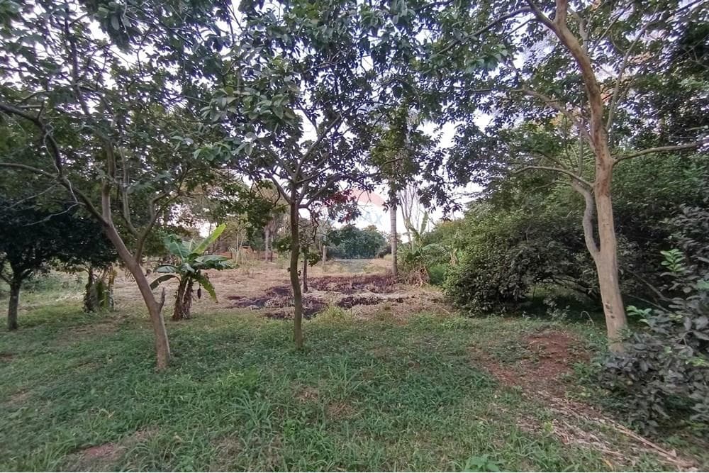Terreno - Venta - Capiata, Central, Paraguay – 2