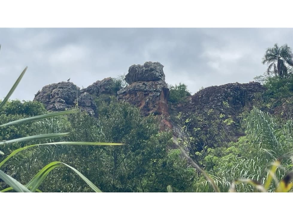 Vendo 14,6 hectáreas en Caacupé con vista al Cerro Kavaju – 2