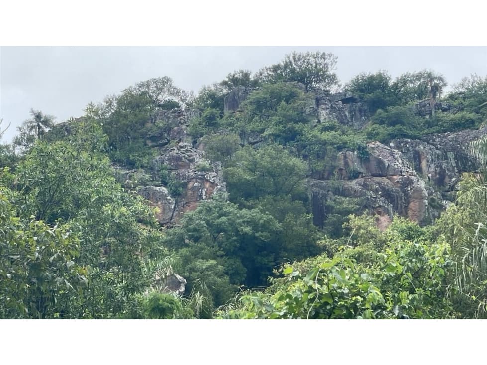 Vendo 14,6 hectáreas en Caacupé con vista al Cerro Kavaju – 3