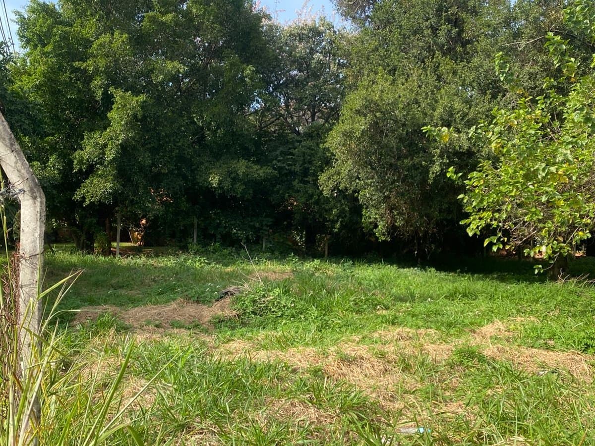 VENDO 2 TERRENOS EN ESQUINA EN FERNANDO ZONA NORTE – 2