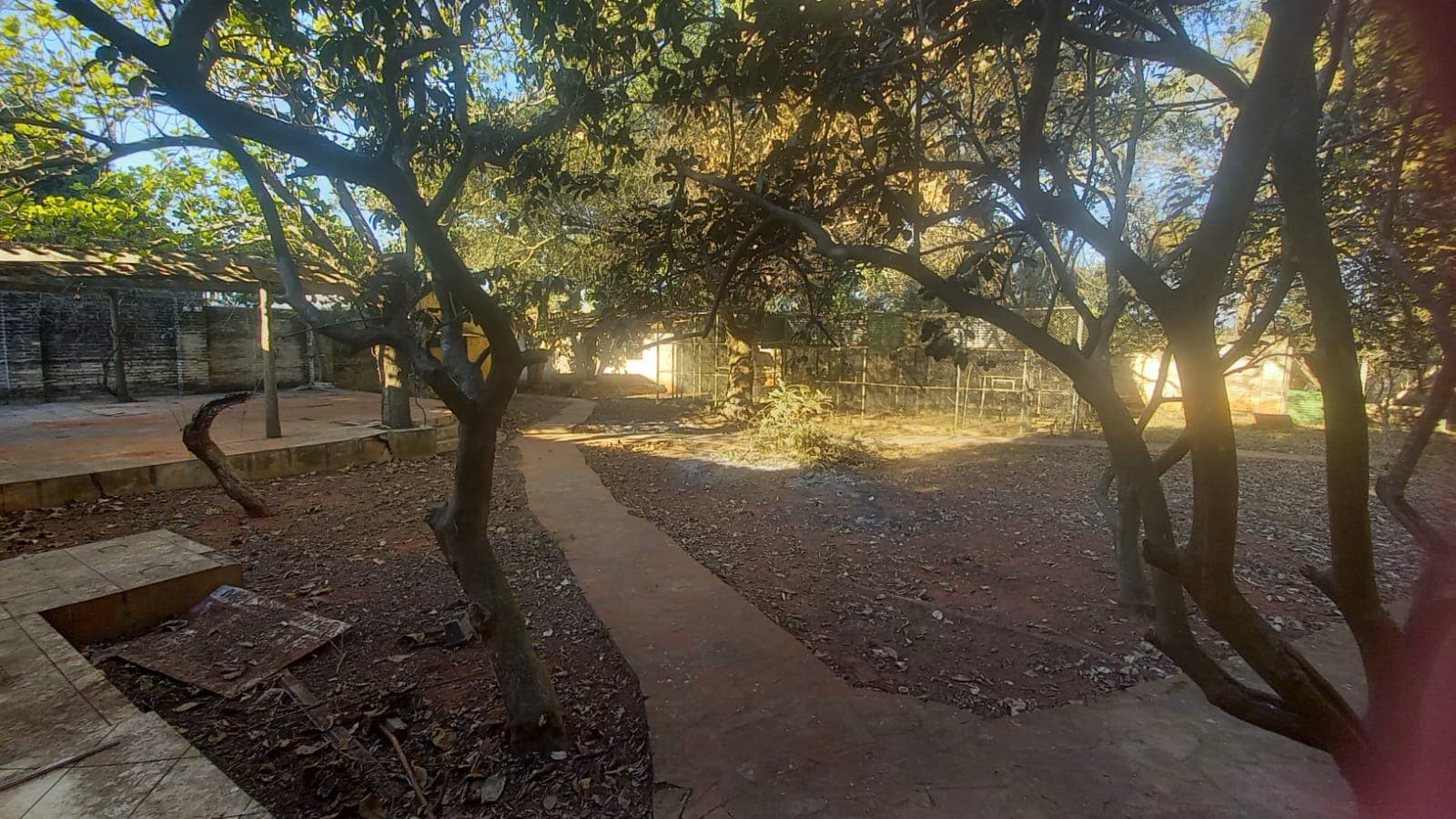 Vendo Propiedad de 4.650 m2 en Maramburé, Luque. Cod 037 – 2