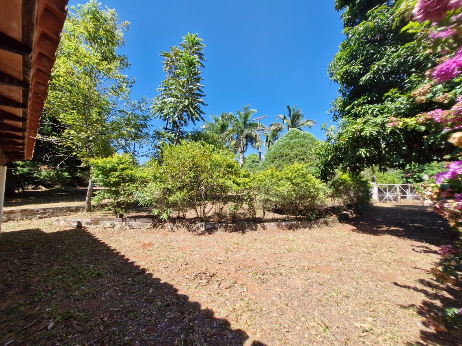VENDO AMPLIO TERRENO EN PIRIBEBUY – 2