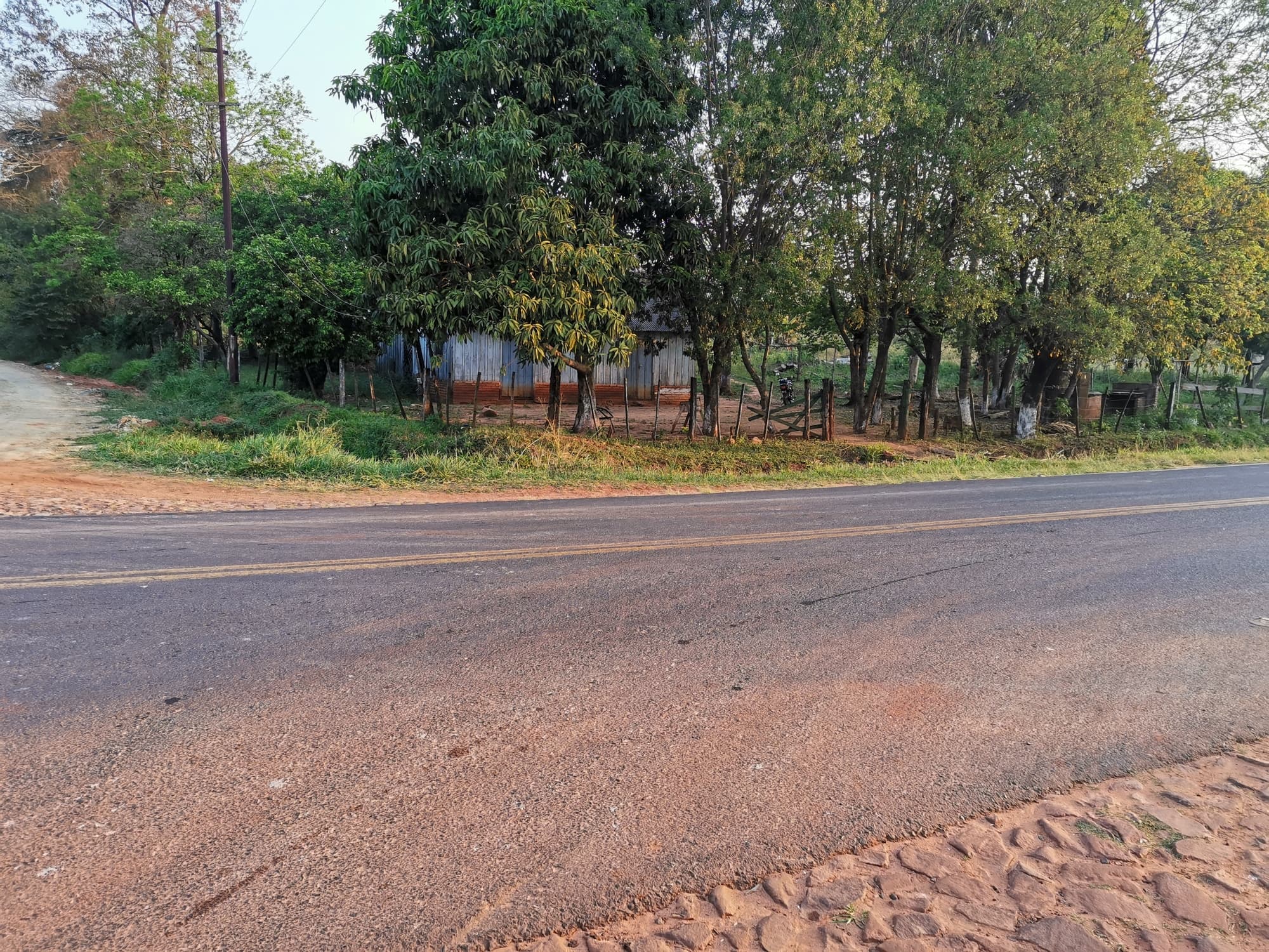 Vendo 10 Hectáreas Dr Cecilio Báez-Caaguazú Sobre Asfalto Por: 700 Millones – 2