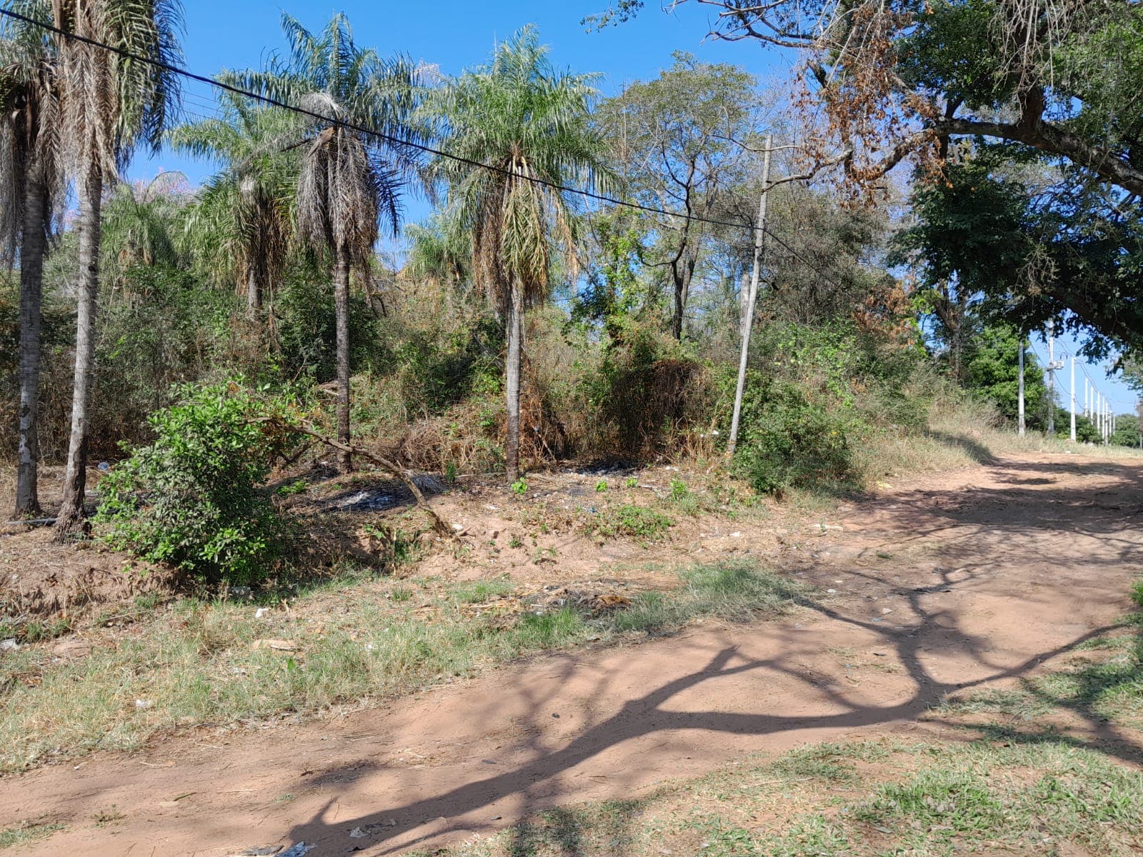 VENDO TERRENOS EN AREGUÁ‼ – 2