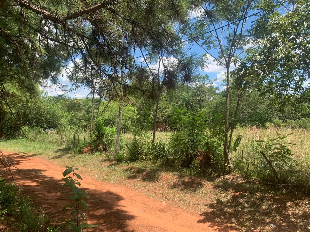 En Venta Terreno De 2.000 M2 En Paraguari Sobre Ruta 1 – 3