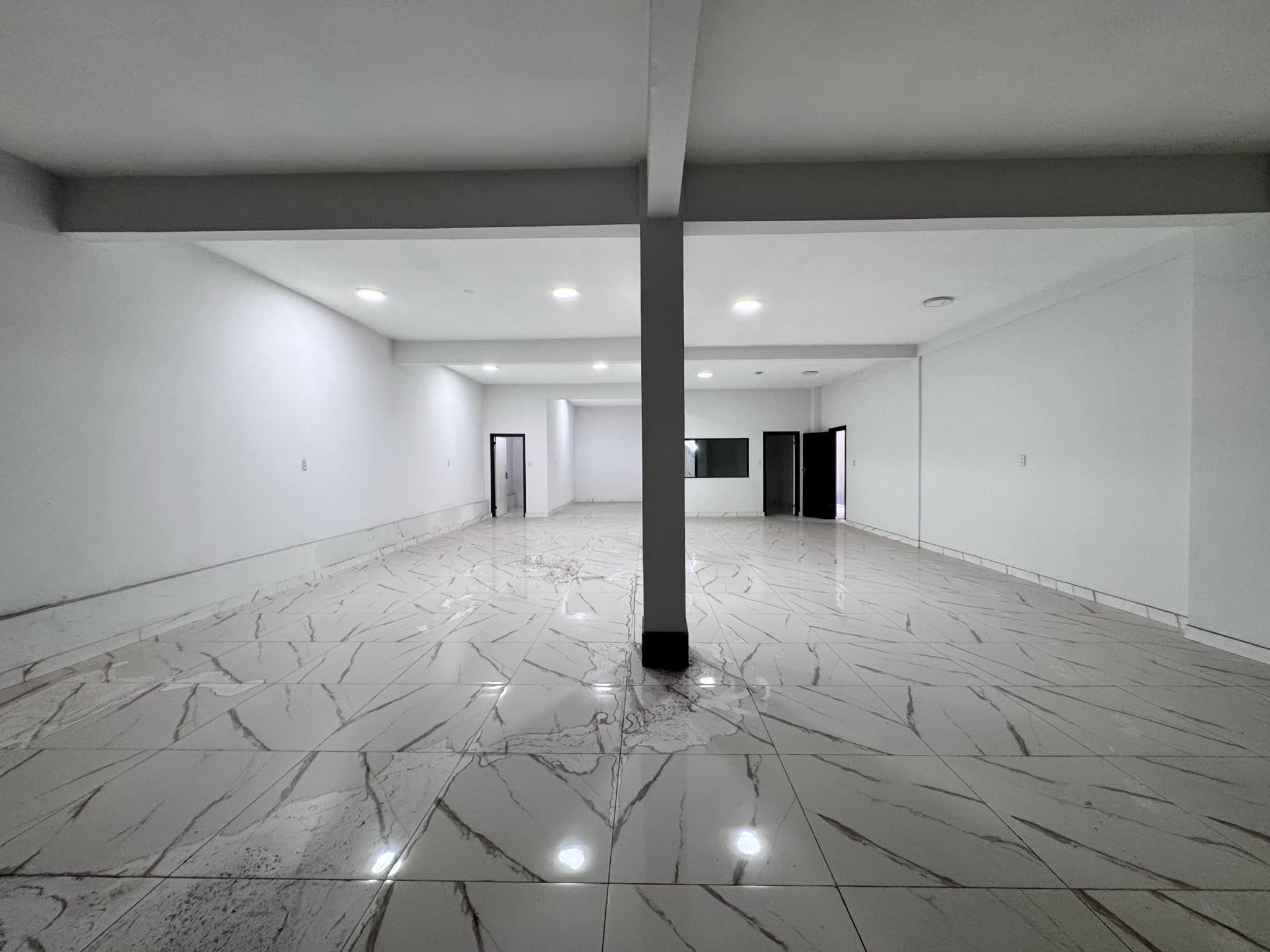 D.G. Vendo Propiedad Comercial Sobre Av. Eusebio Ayala – 3