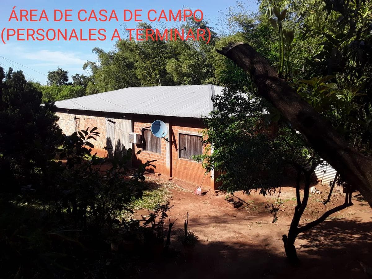 VENDO 44 HAS DE CAMPO MUNICIPIO RAUL ARSENIO OVIEDO A 35 KM (CAMPO 9) – 3