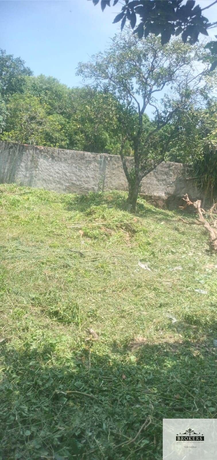 Terreno en venta de 360m2 ubicado en Bo. Colón, San Bernardino