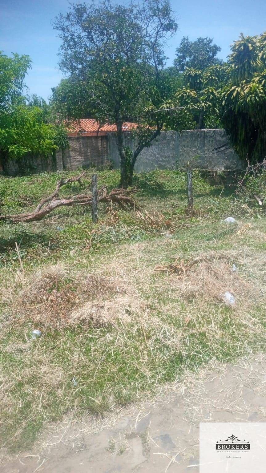 Terreno en venta de 360m2 ubicado en Bo. Colón, San Bernardino – 3