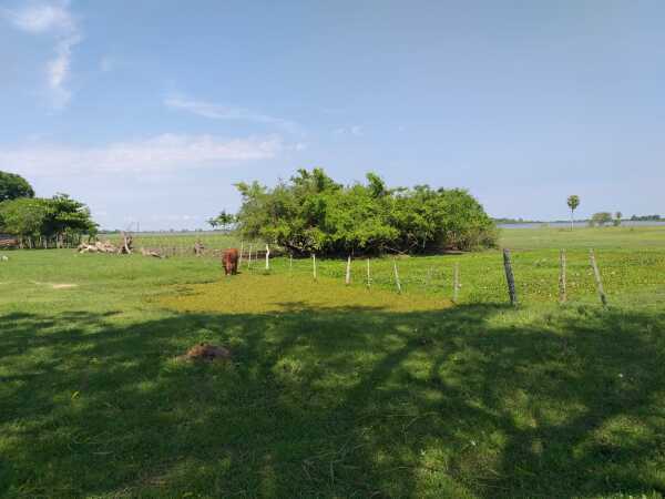 EN VENTA DE 411 HECTÁREAS EN ESTERO KANVA / SAN JUAN DE ÑEEMBUCU – 3