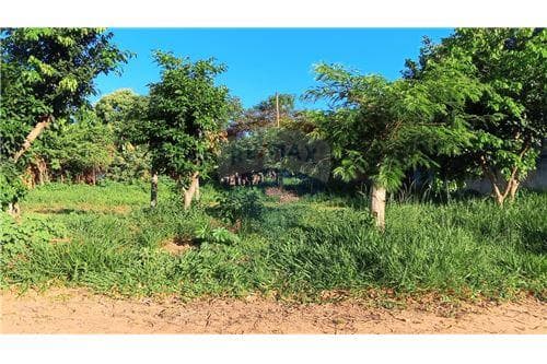TERRENO EN VENTA, CAPIATA – 2