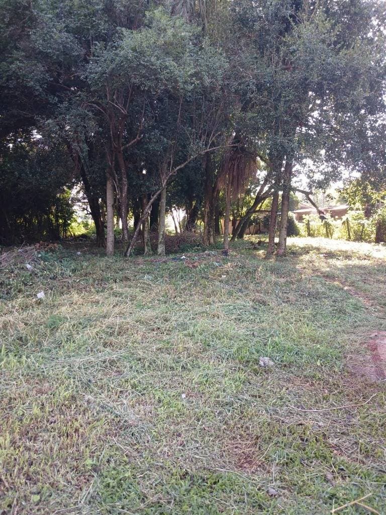 VENDO TERRENO LAURELTY - EN SAN LORENZO – 2