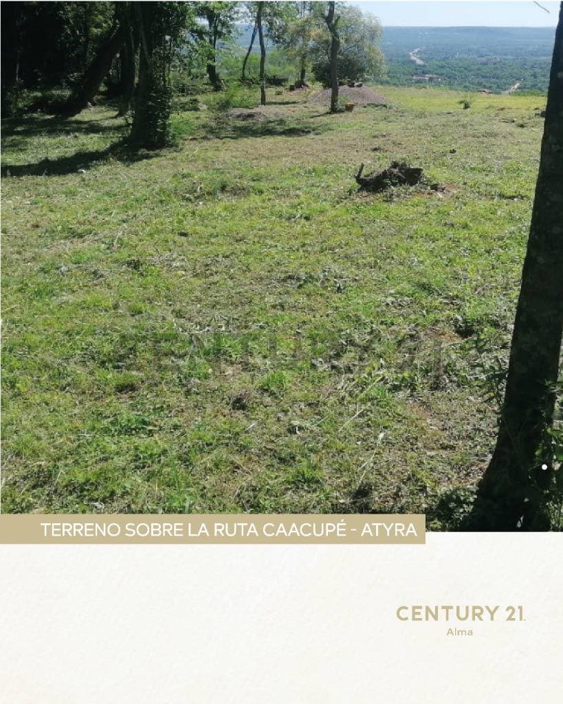 Venta de Estancia/Ganadera en Caacupé, Cordillera – 3