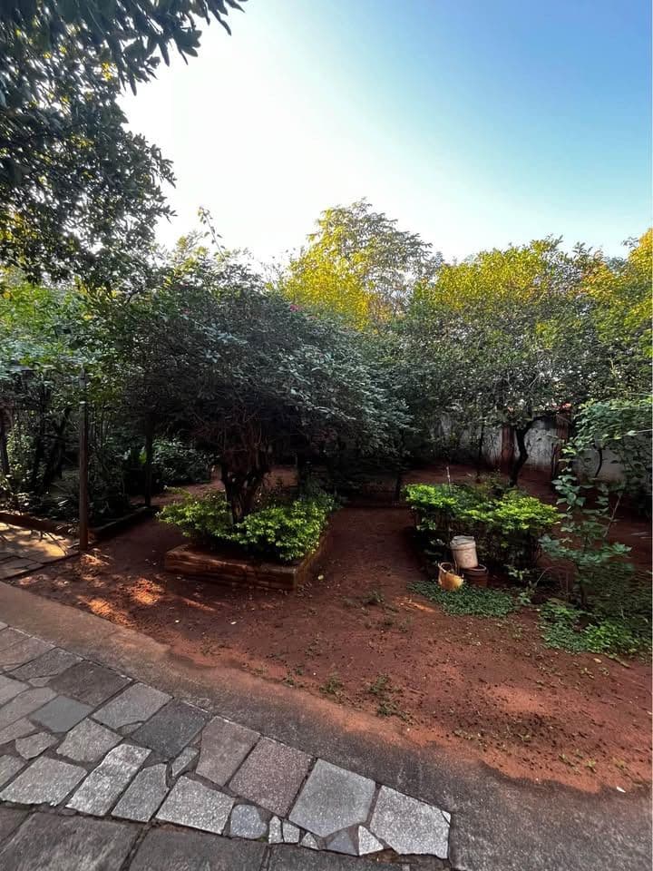 Terreno 1158m2 En Los Laureles – 3