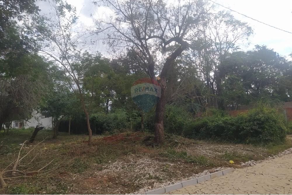 En Venta Terreno Luque – 3