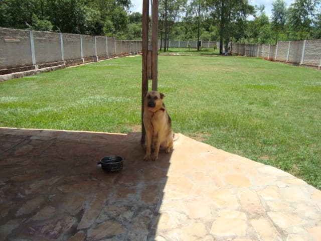 Casa Quinta – 2