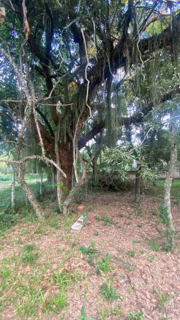 VENDO TERRENO CON ARROYO EN SANBER – 2