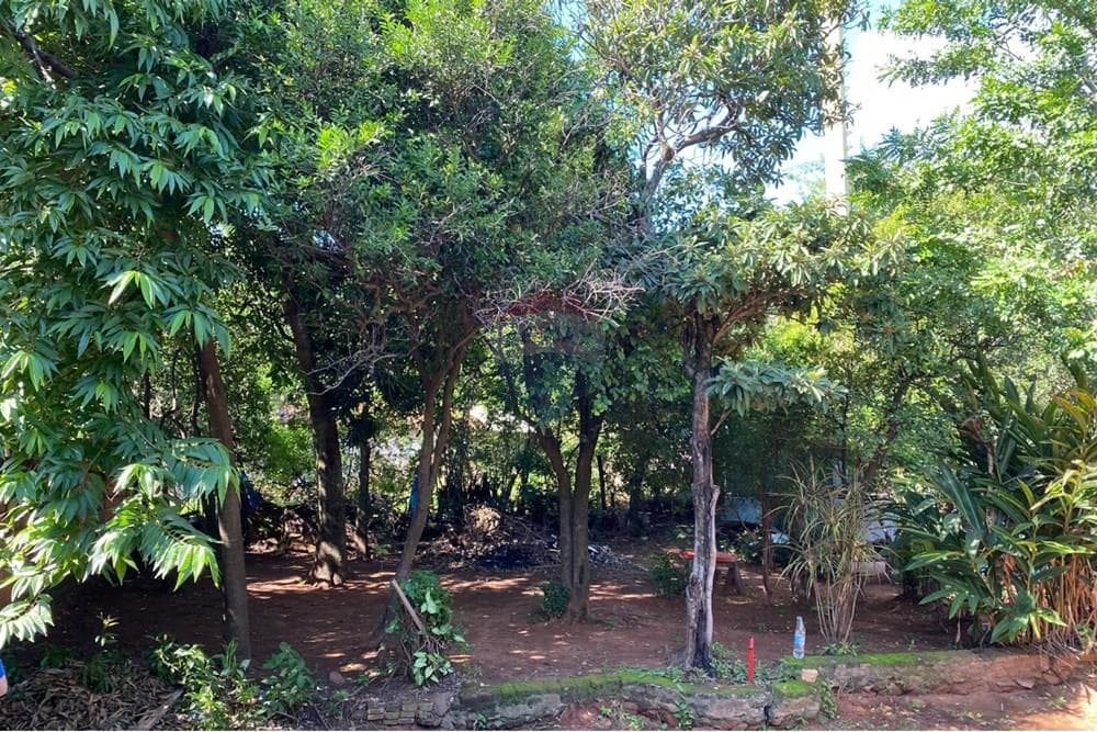 VENDO TERRENO EN SAN LORENZO-REDUCTO – 2