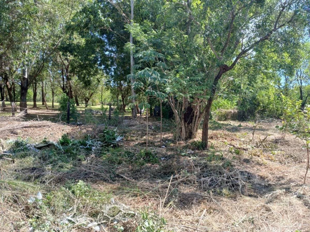 Vendo terreno 20 x 31 en San Bernardino – 2