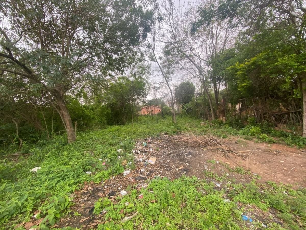 ALQUILO CASA EN FERNANDO DE LA MORA ZONA NORTE – 2